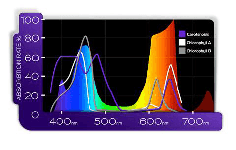 220W LED Grow Light, Replaces 300W HID