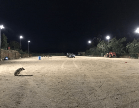 Horseback Riding Arena - Globe, AZ